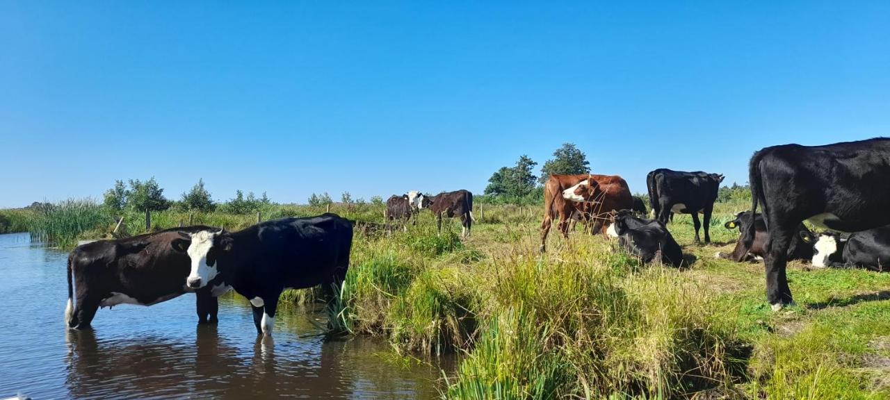 Huisje Beukers Giethoorn Exteriör bild