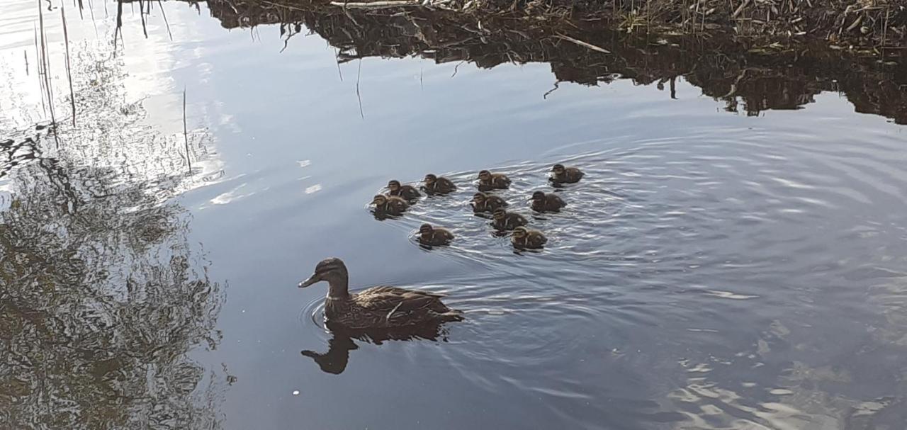Huisje Beukers Giethoorn Exteriör bild