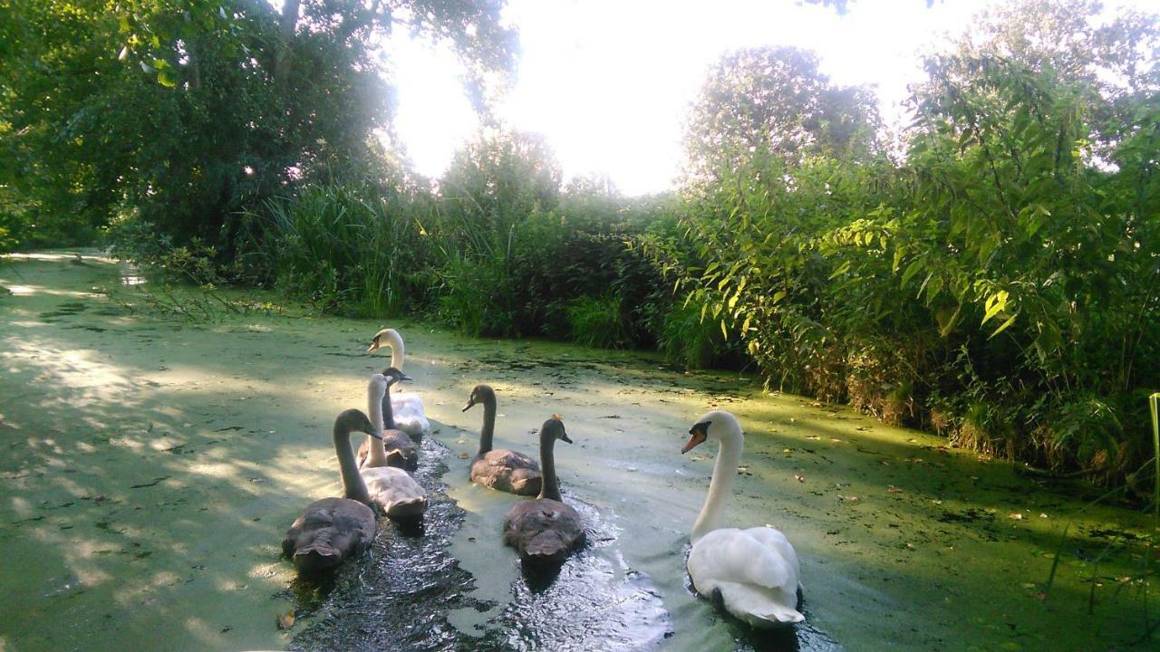 Huisje Beukers Giethoorn Exteriör bild